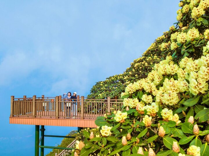 visitphuquoc