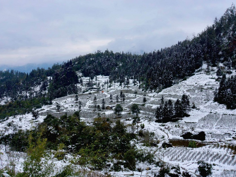 Những lớp tuyết mỏng phủ trắng cả khu vực trên núi.