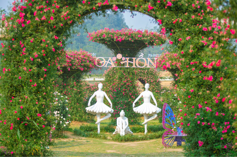 Khu vườn hoa hồng đẹp như trong truyện cổ tích tại Sun World Fansipan Legend.