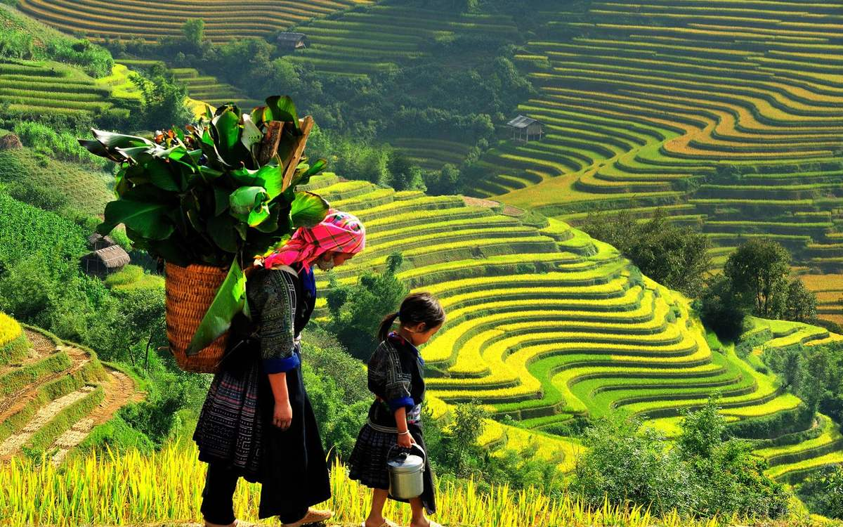 Khung cảnh hùng vĩ tại bản Tả Phìn.