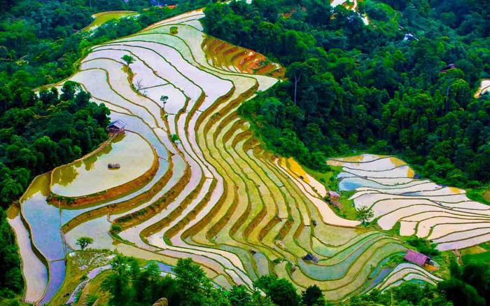 Ruộng bậc thang Sa Pa mùa nước đổ.
