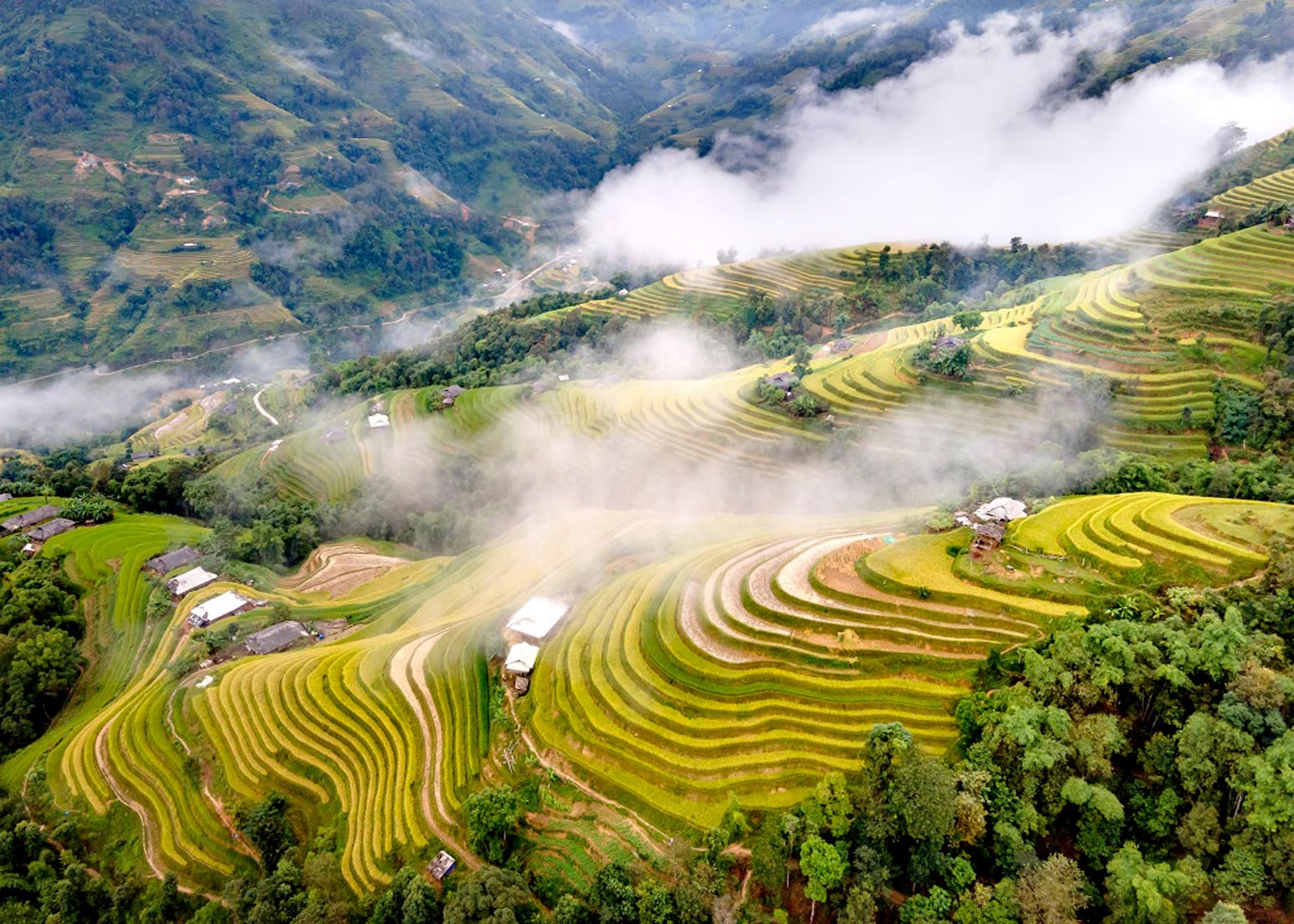 Bản Tả Phìn bước vào mùa lúa chín. 