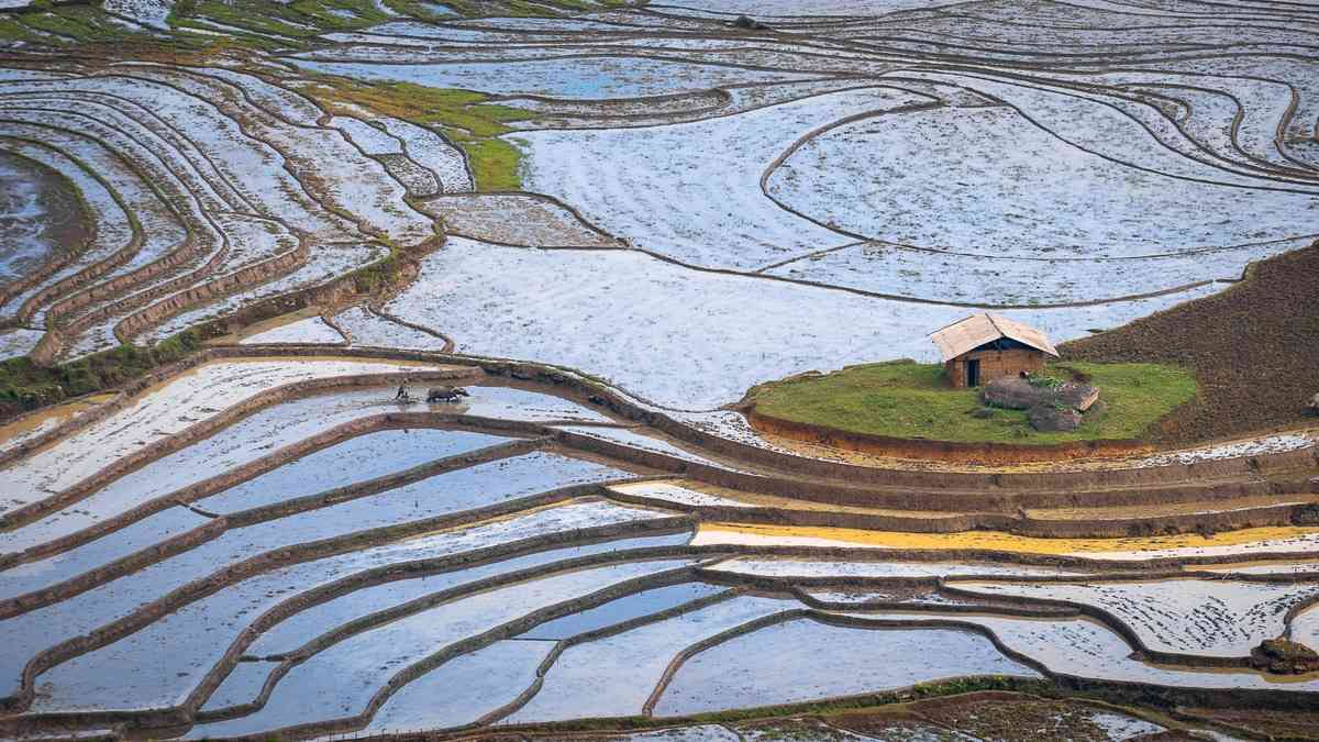 Tháng 5 là thời điểm bà con vùng cao bắt đầu cấy lúa