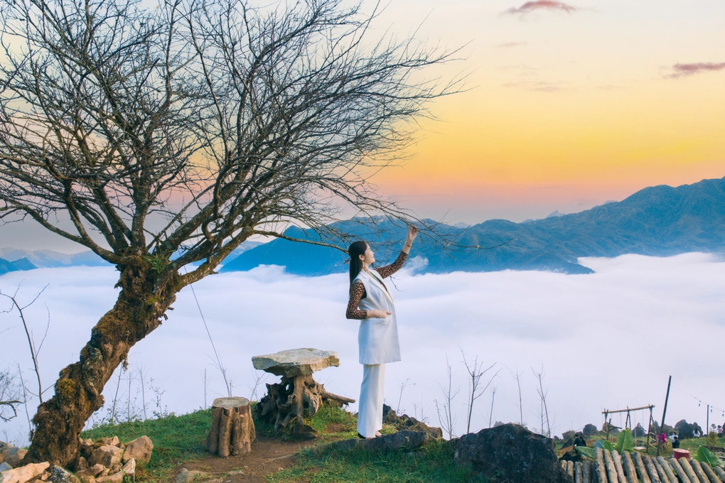 Trải nghiệm săn mây không thể bỏ lỡ tại Sa Pa