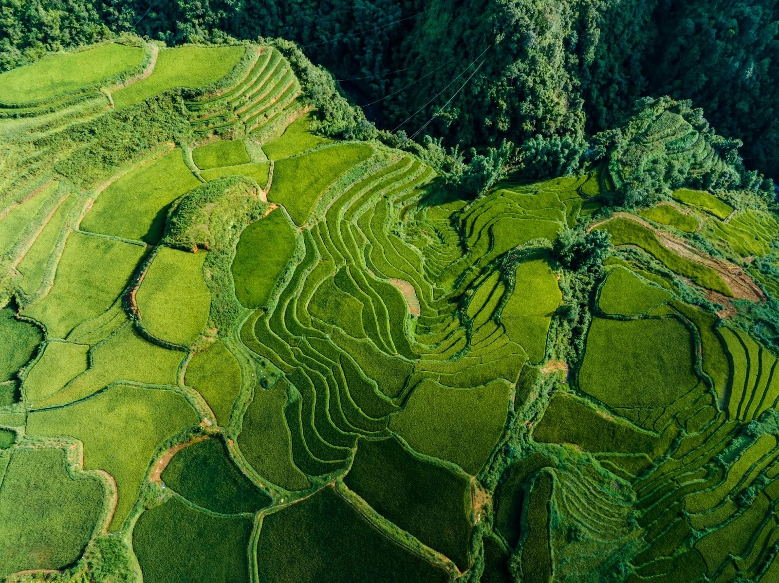 Thời tiết tại Sa Pa vào thời điểm tháng 7 mát mẻ, dễ chịu