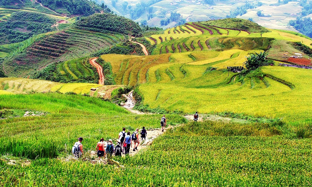 Dạo bước giữa thung lũng Mường Hoa vào tháng 8