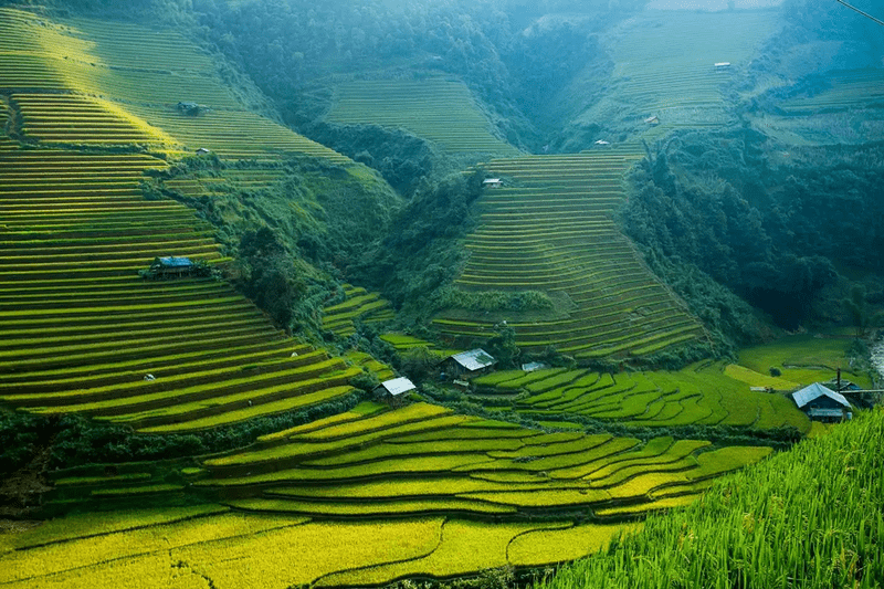 Khung cảnh ruộng bậc thang hùng vĩ mùa lúa xanh