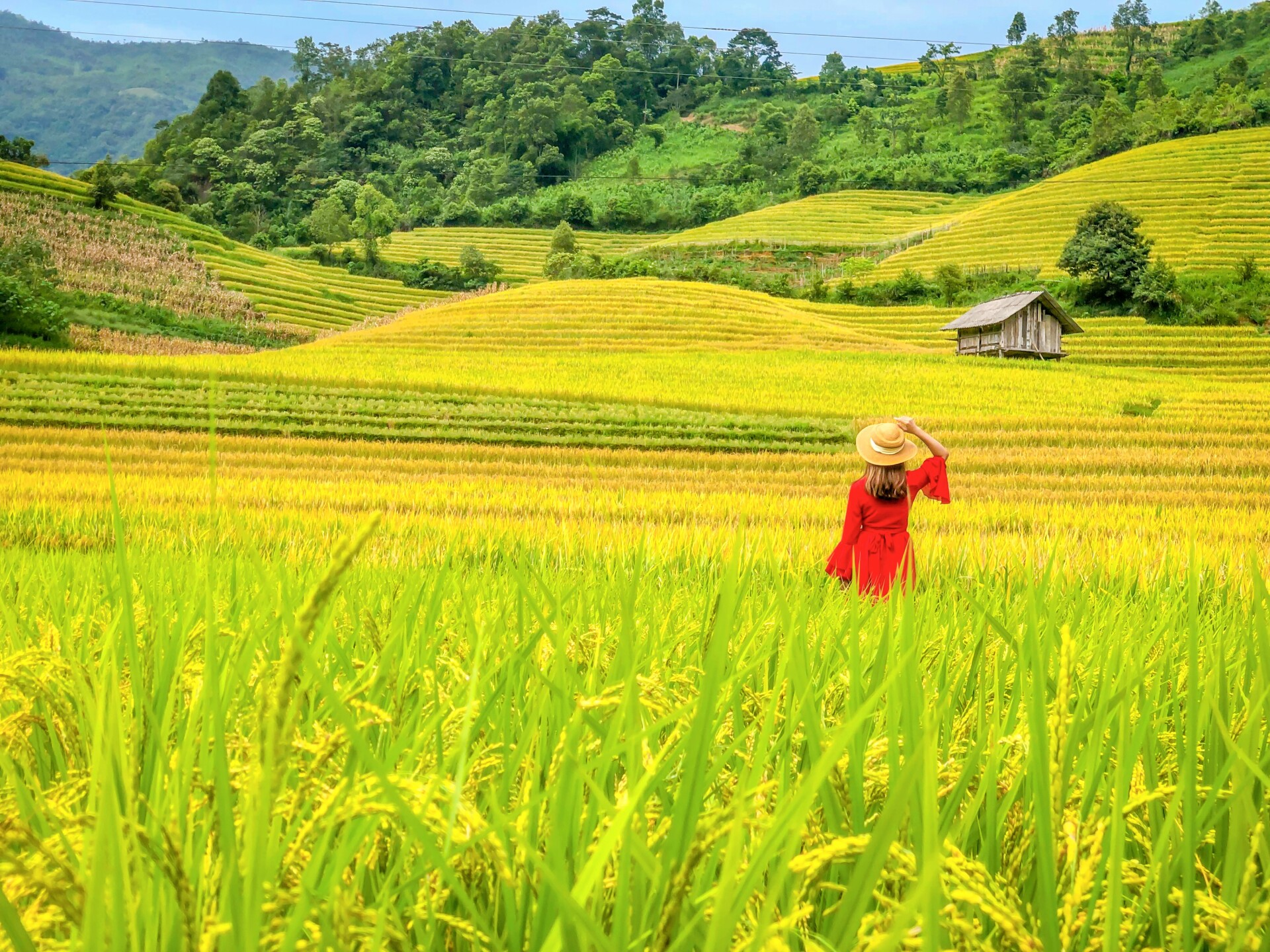 Thời tiết Sa Pa vào tháng 9 mang không khí mát mẻ, trong lành và hơi se lạnh