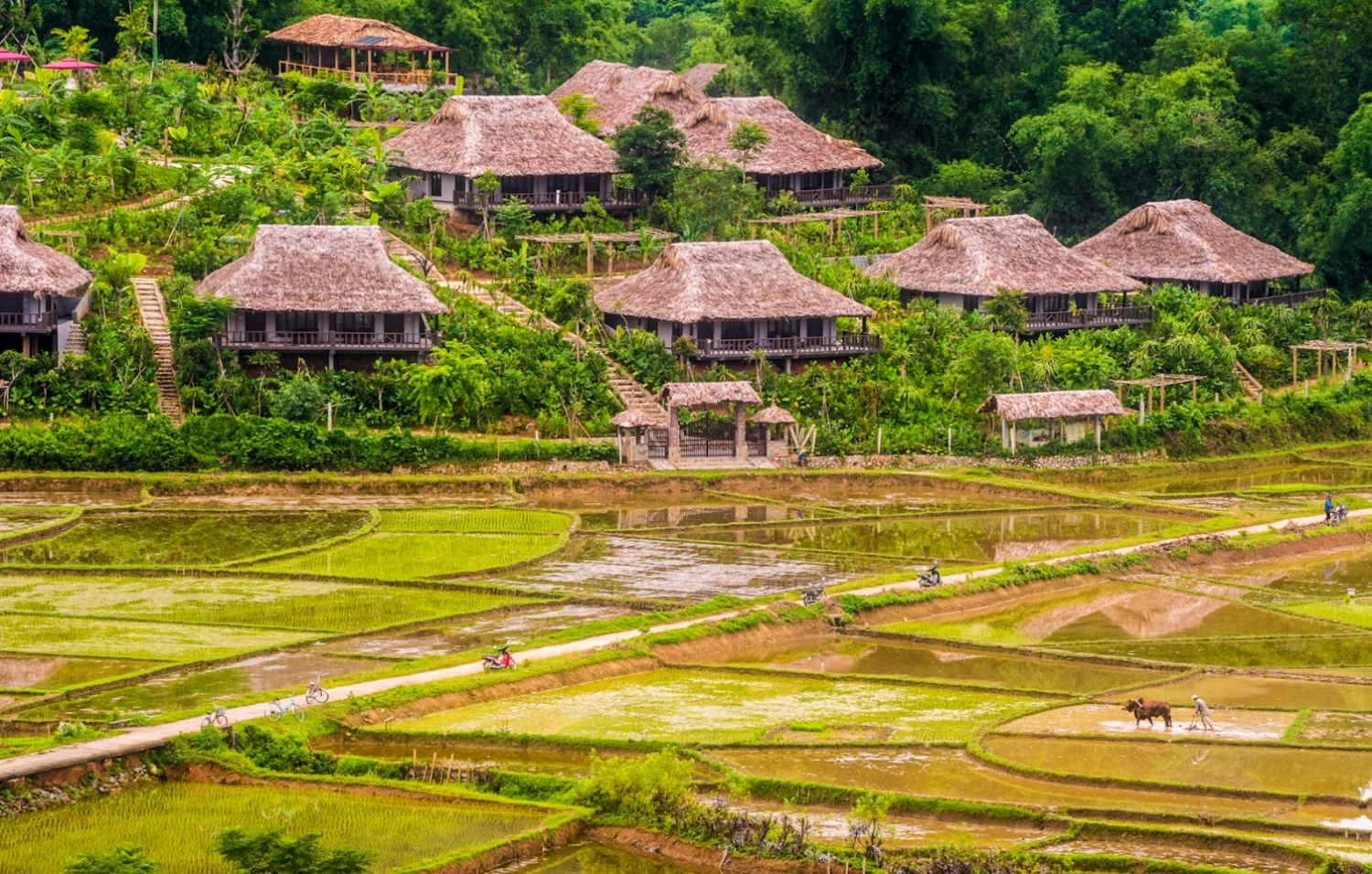 Khám phá những bản làng truyền thống tại Tây Bắc vào mùa hè