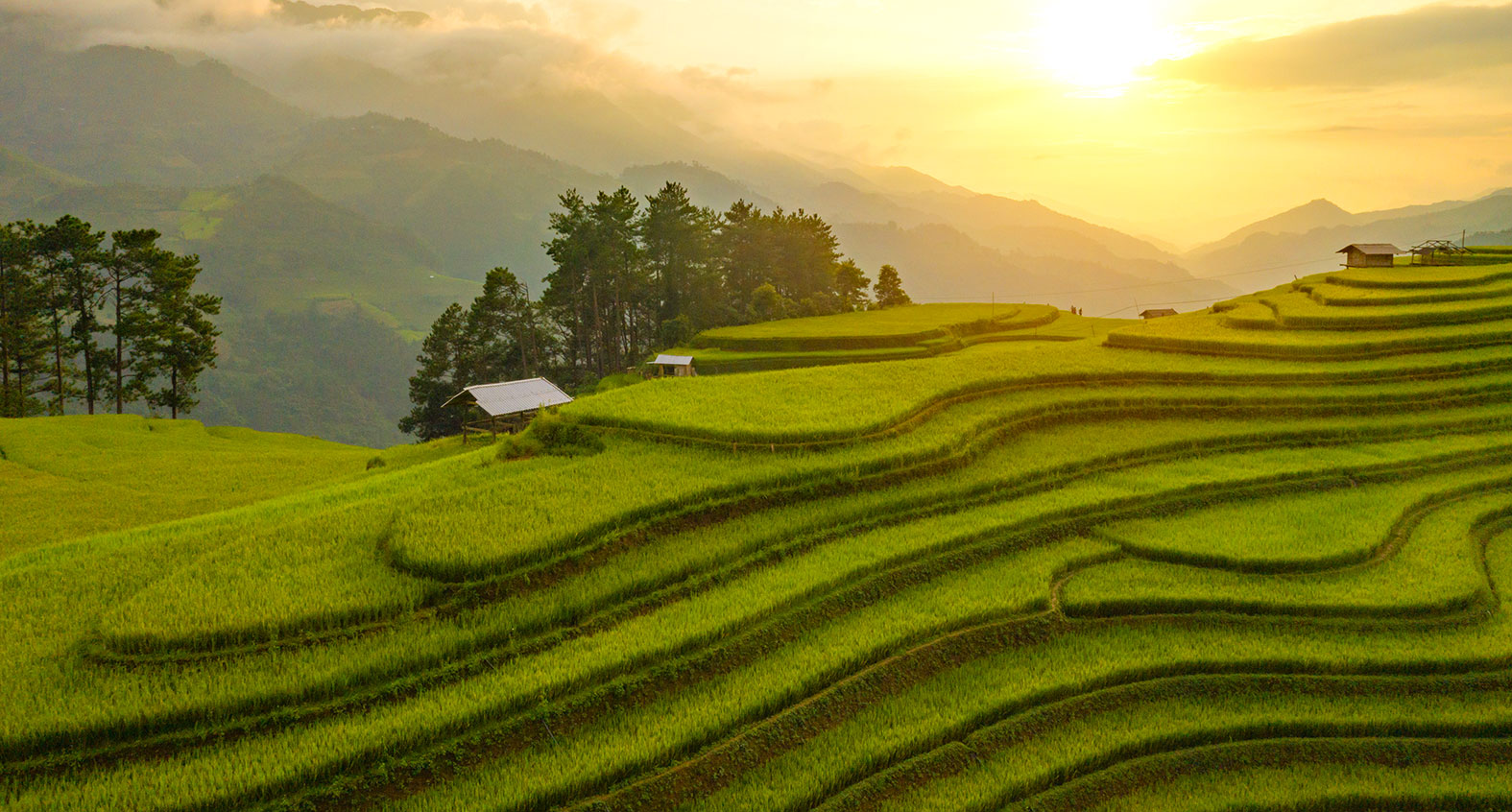 Bình minh tại Chế Cu Nha gây ấn tượng với nhiều du khách