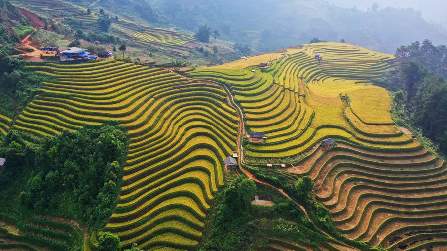 Lào Cai sở hữu khung cảnh thiên nhiên hùng vĩ nổi bật