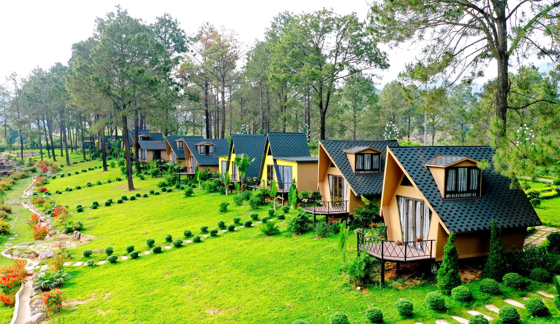 Rừng thông Bảng Áng là một trong những điểm du lịch nổi tiếng tại Mộc Châu
