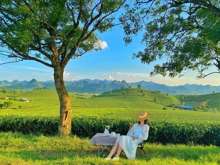 Cao nguyên Mộc Châu xanh mát giữa mùa hè