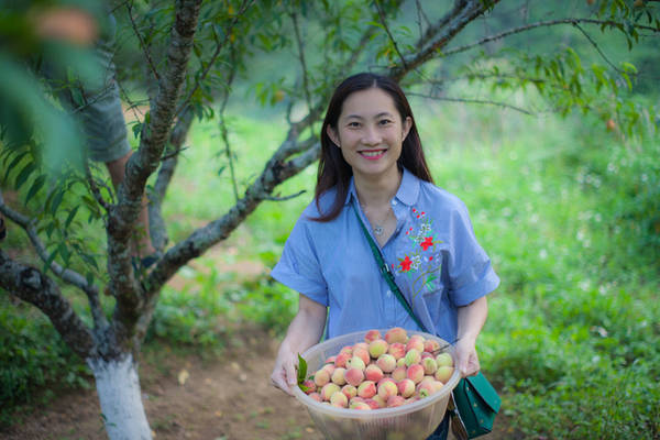 Du khách nên ưu tiên thưởng thức các loại quả tại vườn để tận hưởng sự tươi ngon