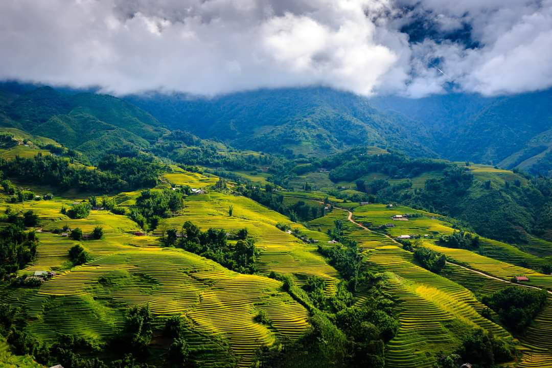 Mùa hè là thời điểm lý tưởng để du khách ghé thăm Lào Cai