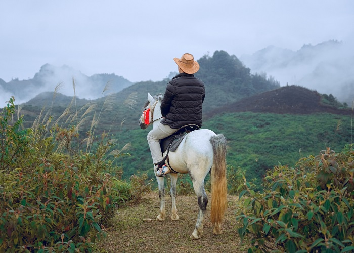 Bắc Hà Horse Farm cung cấp dịch vụ cưỡi ngựa chuyên nghiệp đáp ứng mọi du khách