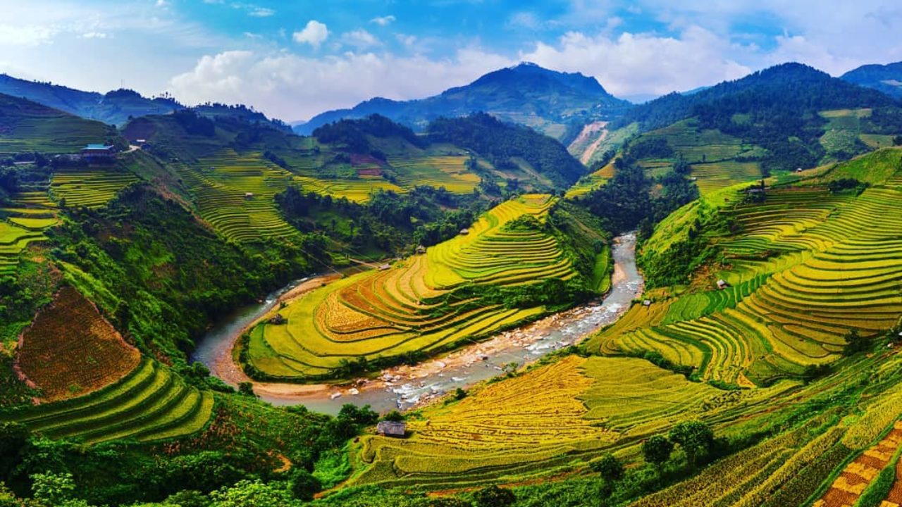 Ruộng bậc thang xanh mướt trải dài giữa thung lũng Mường Hoa.