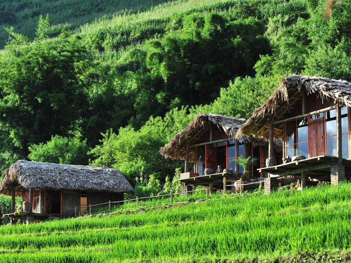 Bản Tả Van tập trung nhiều homestay view ruộng bậc thang yên bình.