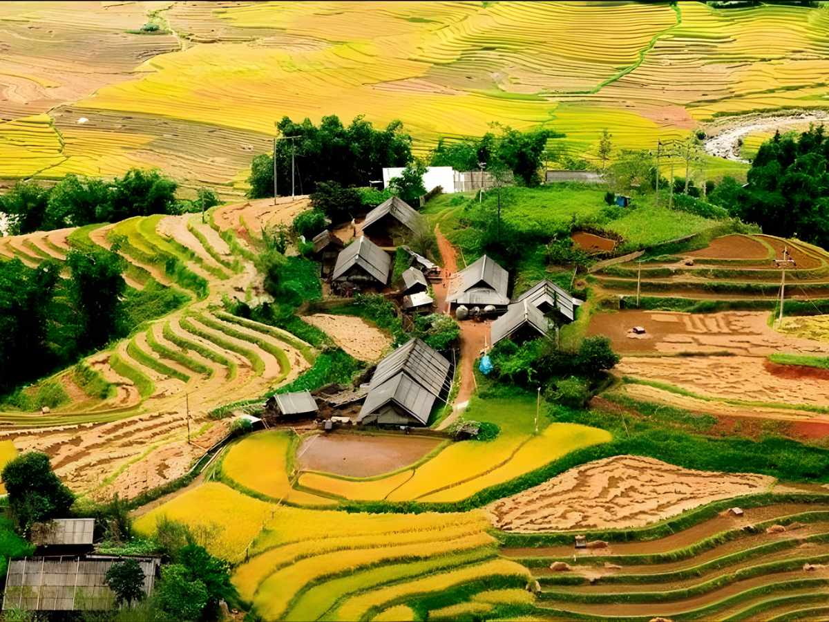 Thung lũng Mường Hoa là một trong những điểm ngắm ruộng bậc thang nổi bật. (Nguồn sưu tầm)&nbsp;