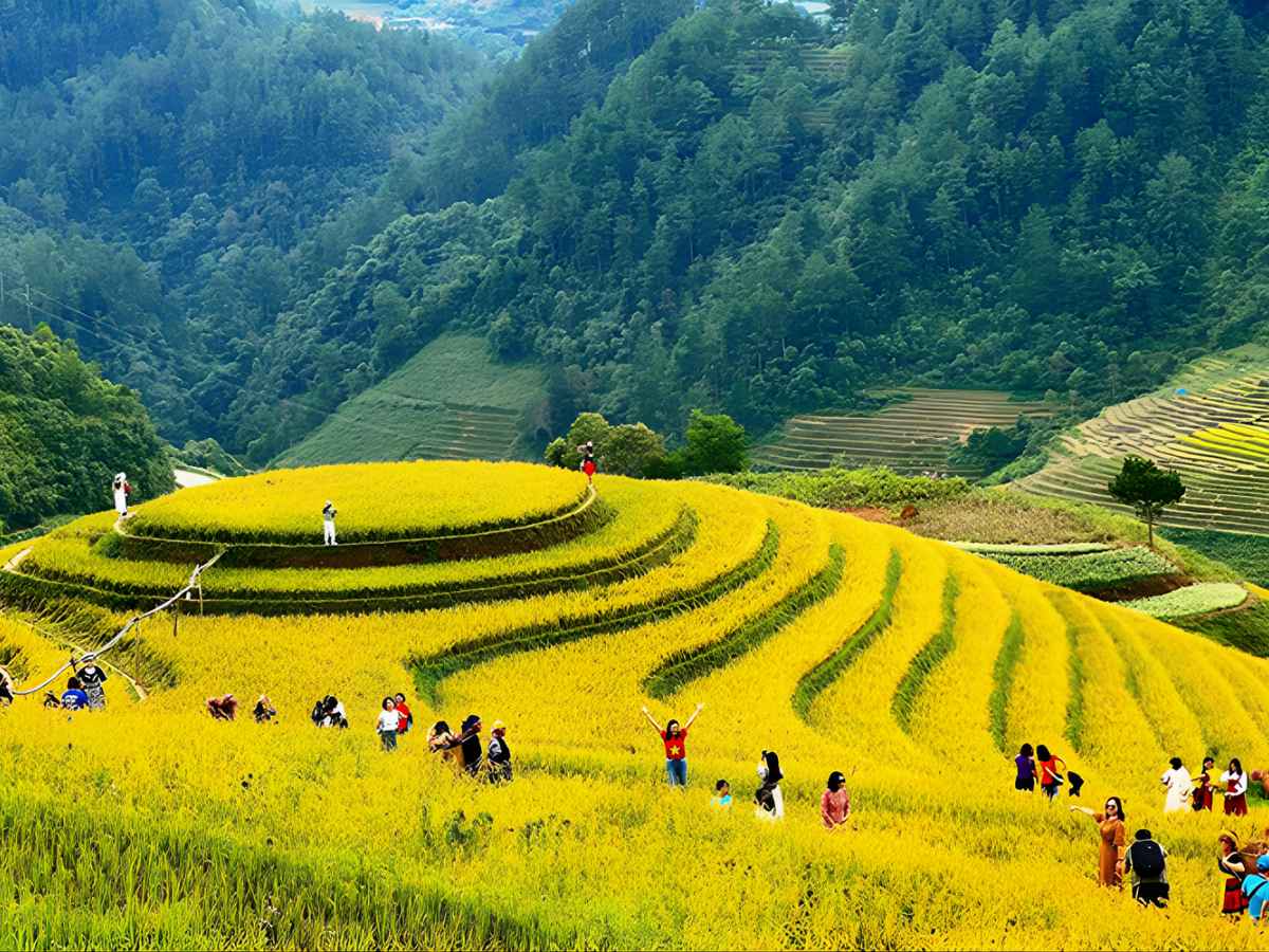 Phường Sa Pa, tỉnh Lào Cai sở hữu khí hậu mát mẻ và cảnh quan núi rừng Tây Bắc hùng vĩ đầy ấn tượng. (Nguồn sưu tầm)
