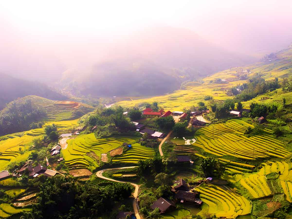Thung lũng Mường Hoa tại phường Sa Pa, tỉnh Lào Cai sở hữu ruộng bậc thang chín vàng. (Nguồn sưu tầm)