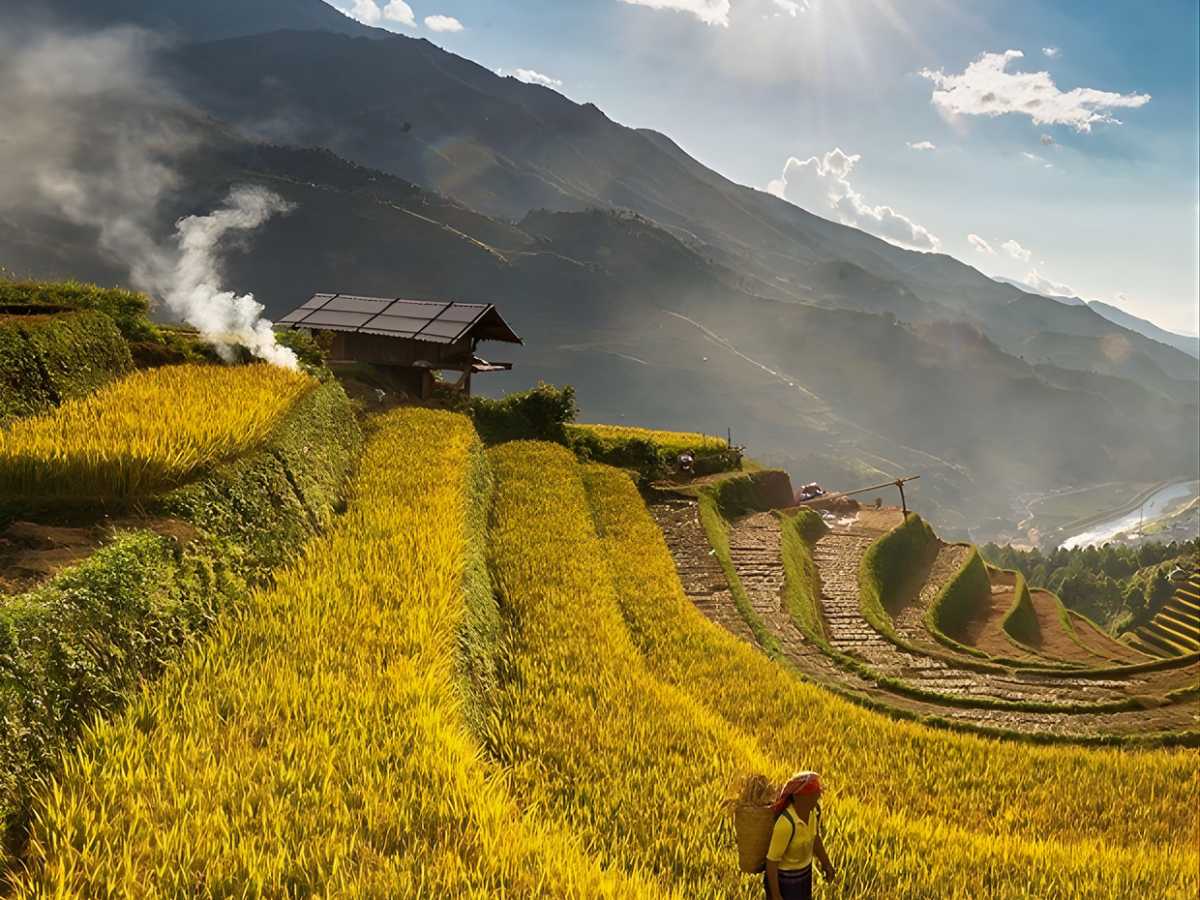 Thời tiết Sa Pa đầu tháng 9 duy trì mức nhiệt lý tưởng từ 15 đến 22 độ C. (Nguồn sưu tầm)&nbsp;
