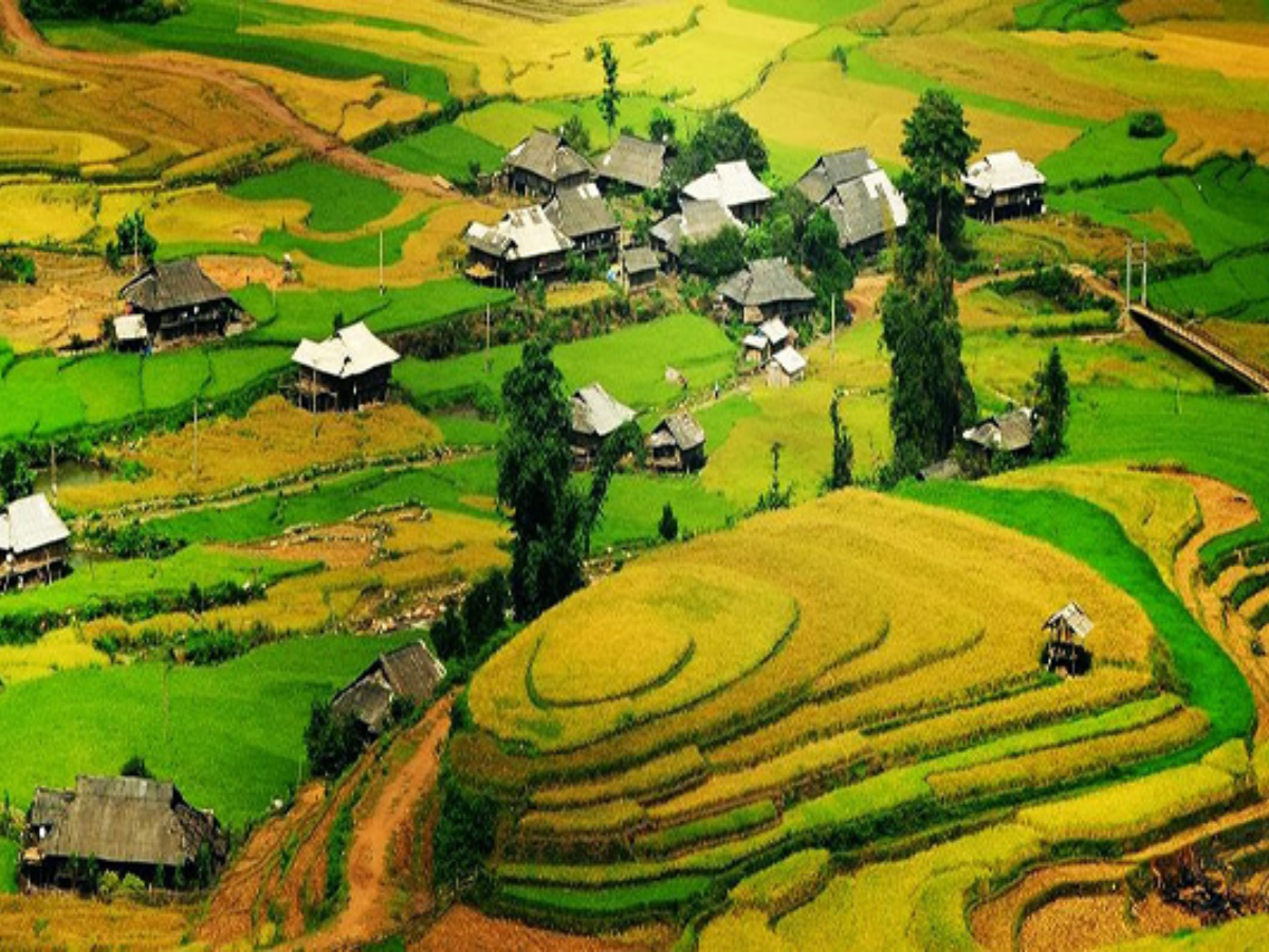 Quanh đèo Khau Phạ là các bản làng nổi tiếng như Lìm Mông, Lìm Thái và Tú Lệ. 