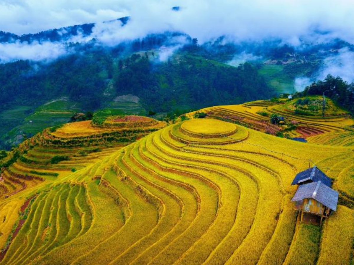 Tại các điểm dừng chân trên đèo Khau Phạ, du khách dễ dàng ngắm toàn cảnh ruộng bậc thang dưới thung lũng.