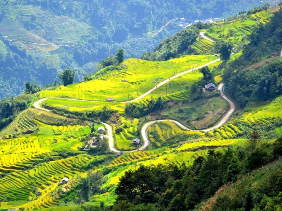 Từ đỉnh Đèo Khau Phạ có thể ngắm thung lũng sâu hun hút và những dải ruộng uốn lượn phía xa.