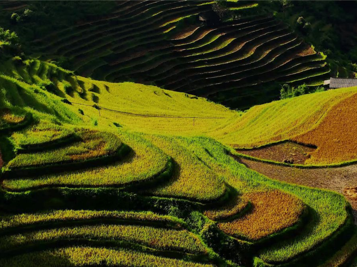 La Pán Tẩn đại diện cho vẻ đẹp nguyên bản còn Sa Pa mang đến tiện nghi và đa dạng dịch vụ du lịch. 