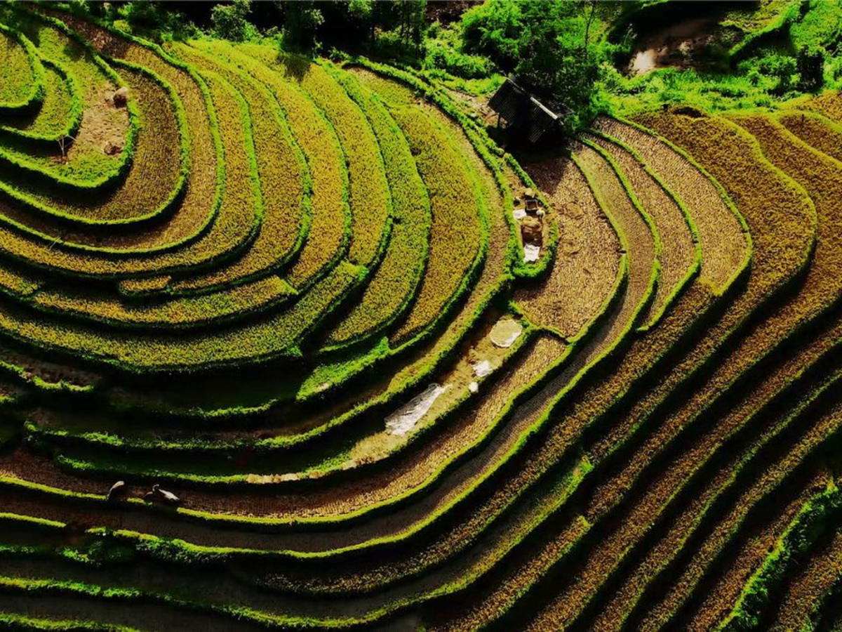 Chiều di chuyển đến La Pán Tẩn nơi ruộng bậc thang hiện ra báo hiệu không gian mùa vàng. 