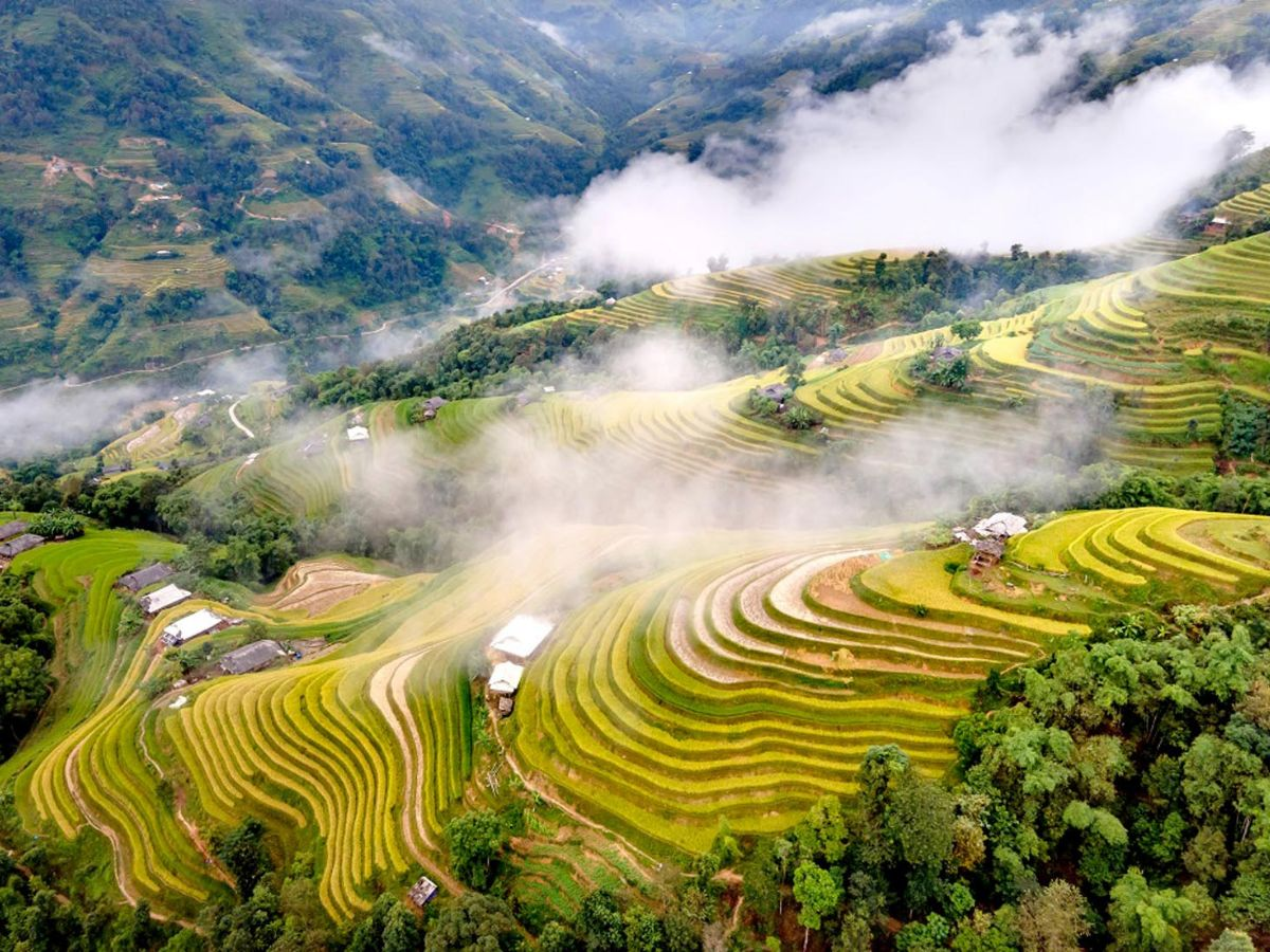 Ở độ cao hơn 1.500 m Sa Pa sở hữu khí hậu mát mẻ quanh năm dễ chịu vào thu và đầu hè.
