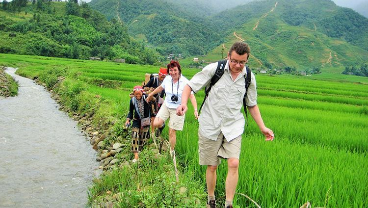 Trekking giữa những thửa ruộng bậc thang xanh mướt là trải nghiệm khiến hành trình khám phá Sapa tháng 8 trở nên đáng nhớ hơn bao giờ hết