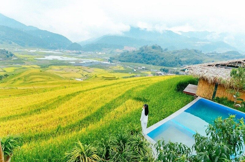 Bản Lao Chải - bức tranh ruộng bậc thang vàng rực giữa núi rừng Tây Bắc