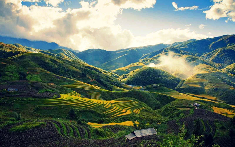 Từ Lào Cai, du khách có thể dễ dàng khám phá nhiều điểm đến nổi tiếng của Tây Bắc chỉ trong một ngày. Nếu đang băn khoăn nên đi đâu để vừa ngắm cảnh đẹp, vừa trải nghiệm văn hóa địa phương, Sa Pa, Bắc Hà và Y Tý là những lựa chọn đáng cân nhắc. Mỗi điểm đến đều mang những nét hấp dẫn riêng, phù hợp với nhiều nhu cầu khác nhau.