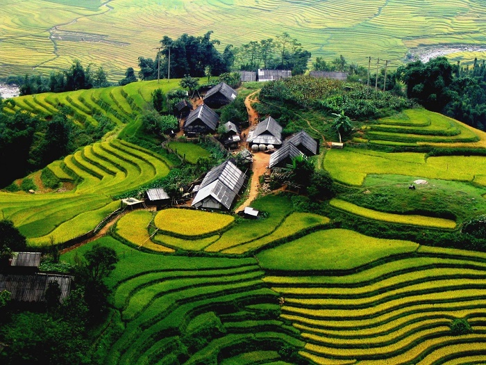Những thửa ruộng bậc thang uốn lượn giữa núi đồi là điểm nhấn thu hút du khách khi đến Sa Pa.