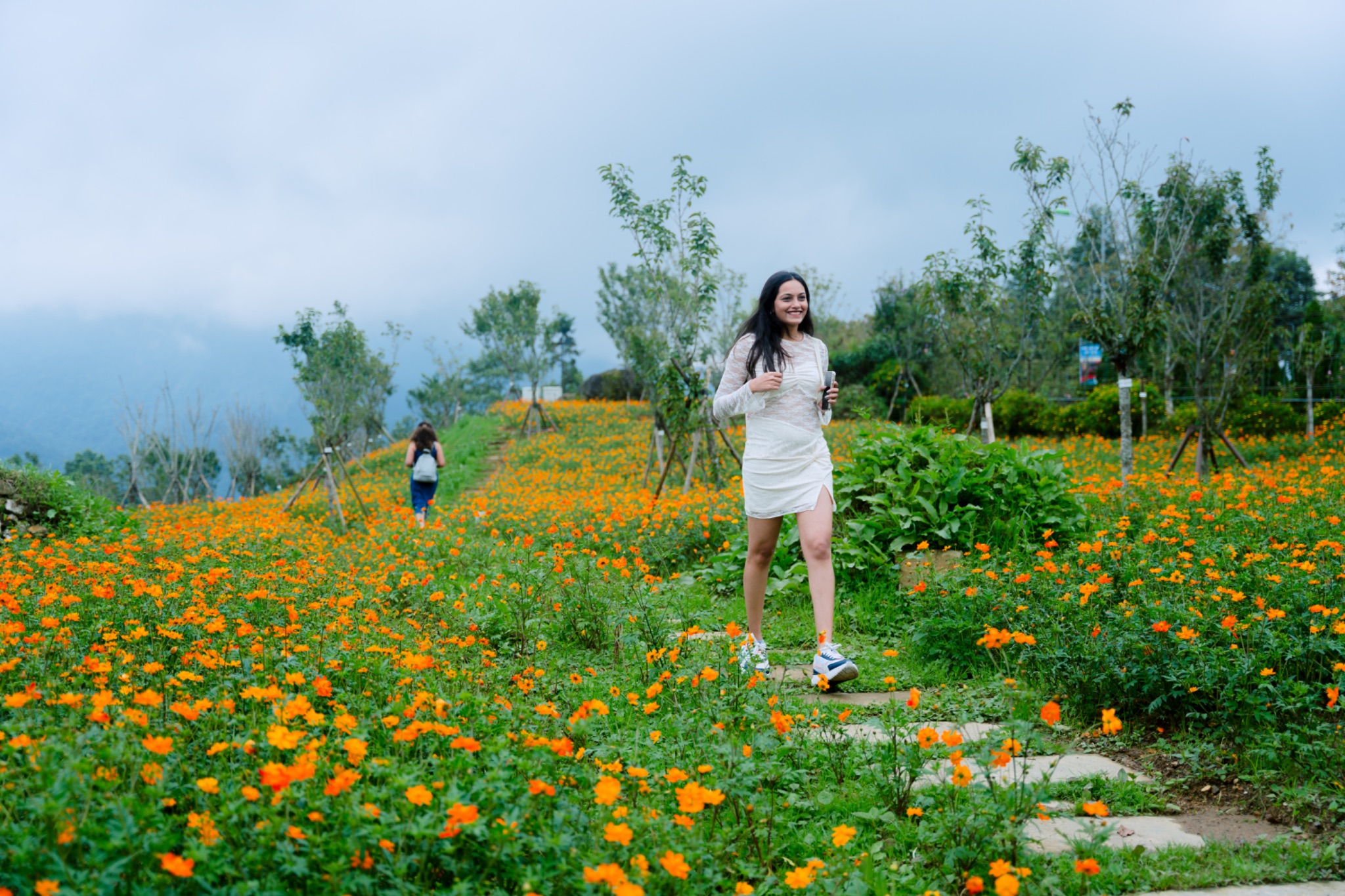 Thời điểm này, nhiều loài hoa cũng khoe sắc rực rỡ trên đỉnh Fansipan.
