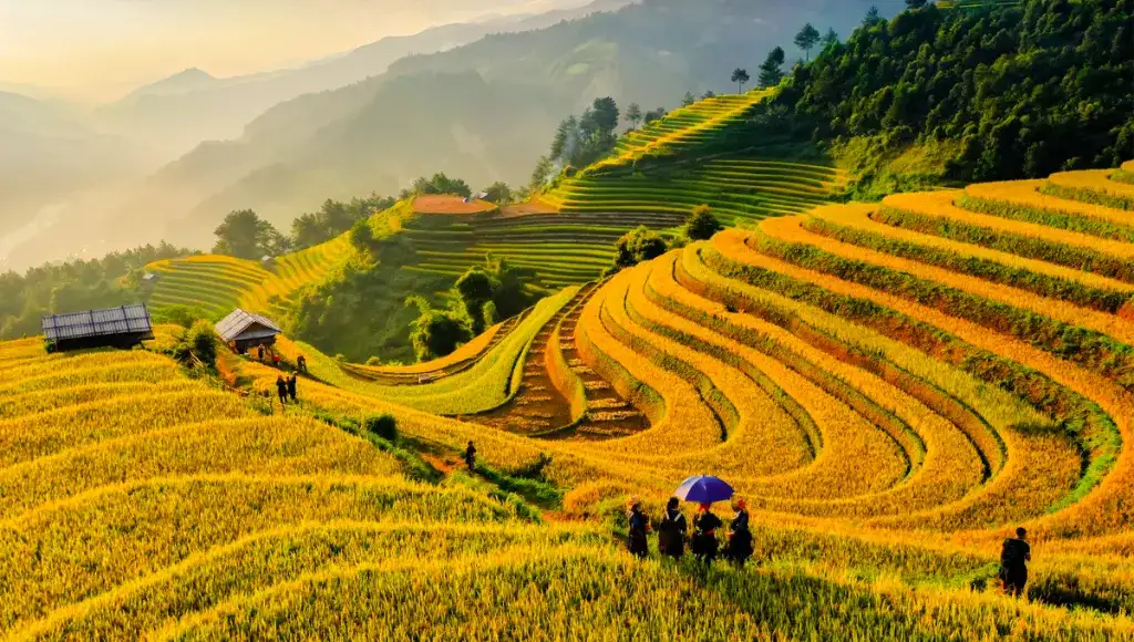 Du lịch Tây Bắc 2026: trải nghiệm Sa Pa, Bắc Hà, Y Tý giữa biển mây và ruộng bậc thang
