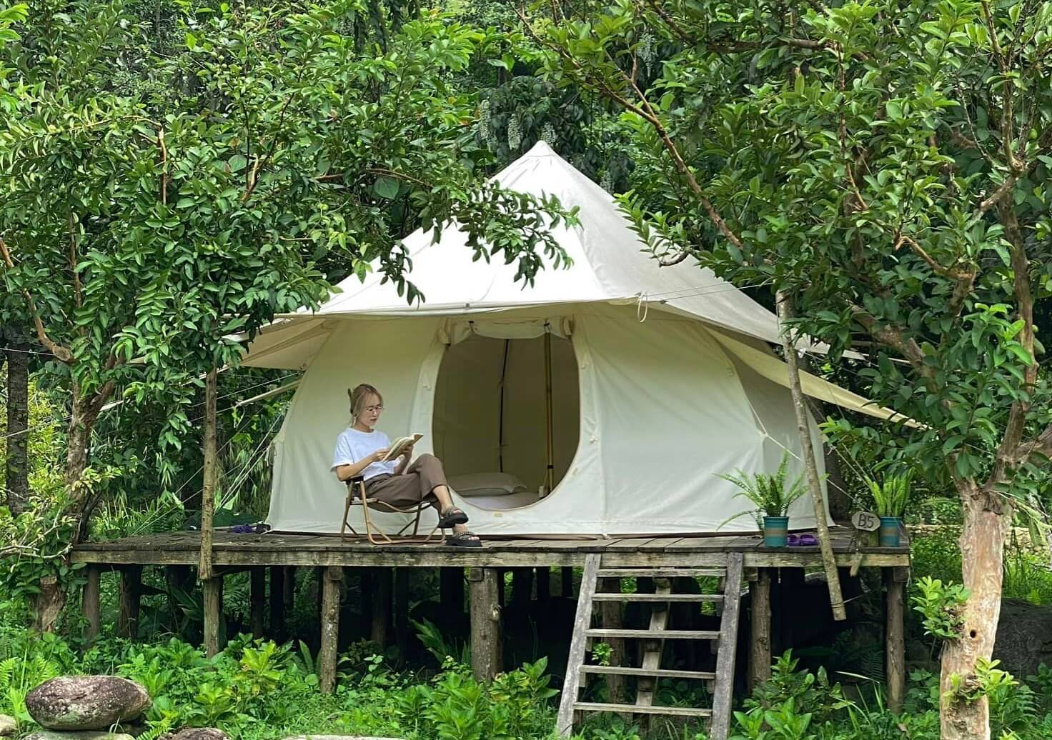 Wecamp Glamping nằm giữa thung lũng Mường Hoa với không gian cắm trại bên dòng suối thơ mộng