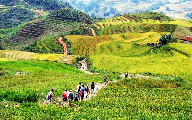 Sa Pa là nơi lý tưởng để cắm trại vào mùa hè, hòa mình vào thiên nhiên xanh mát và săn mây giữa đại ngàn.