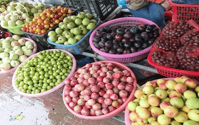 Lào Cai tháng 7 – thiên đường trái cây vùng Tây Bắc