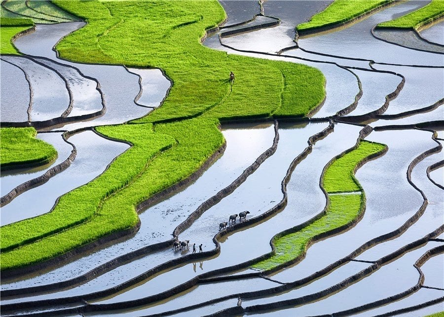 Bản Ý Linh Hồ mùa nước đổ