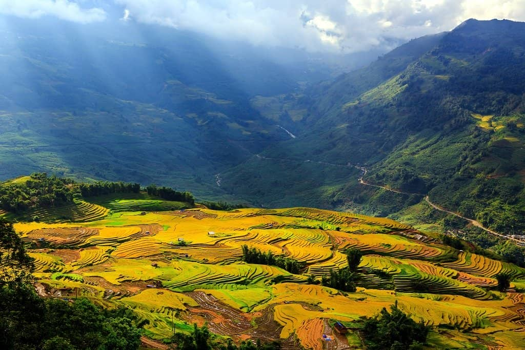 Thung lũng Mường Hoa mùa lúa chín