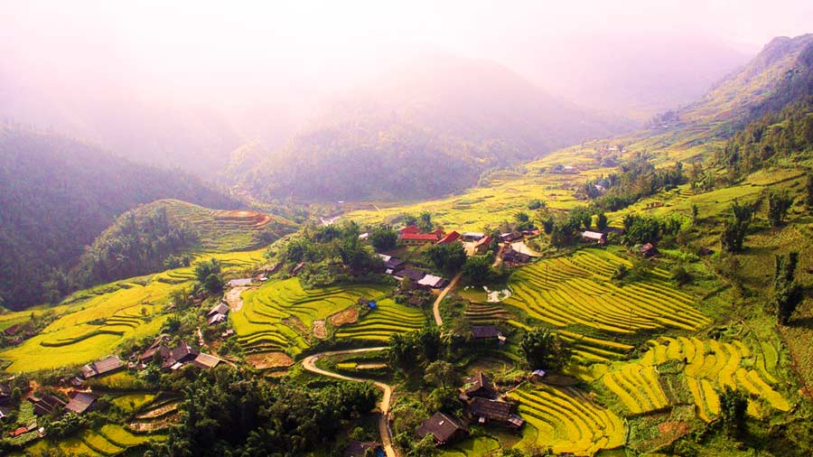 Khung cảnh ruộng bậc thang tại Thung lũng Mường Hoa nhìn từ trên cao