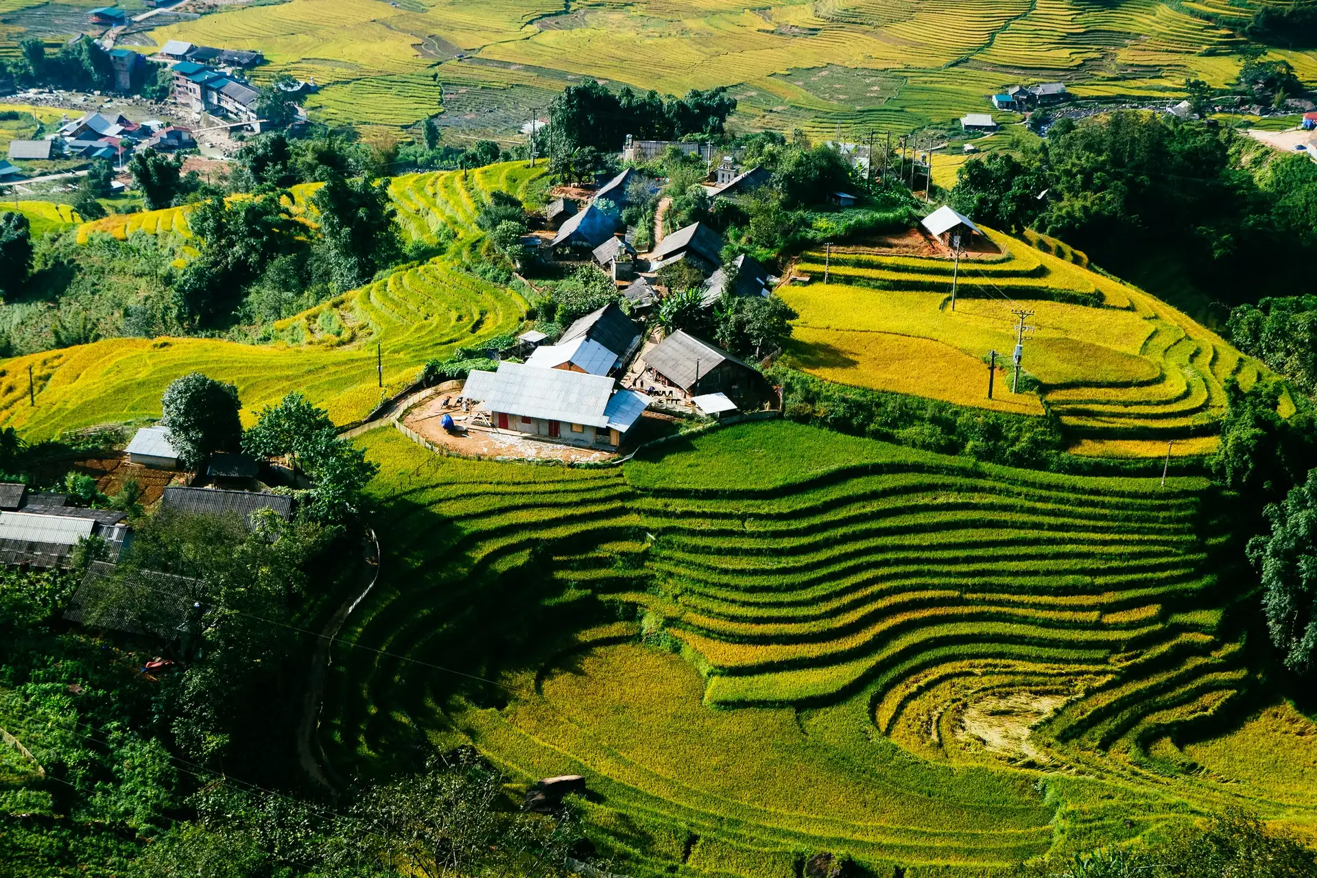 Khung cảnh ruộng bậc thang uốn lượn tại bản Tả Van tạo nên vẻ đẹp đặc trưng của thung lũng Mường Hoa. 