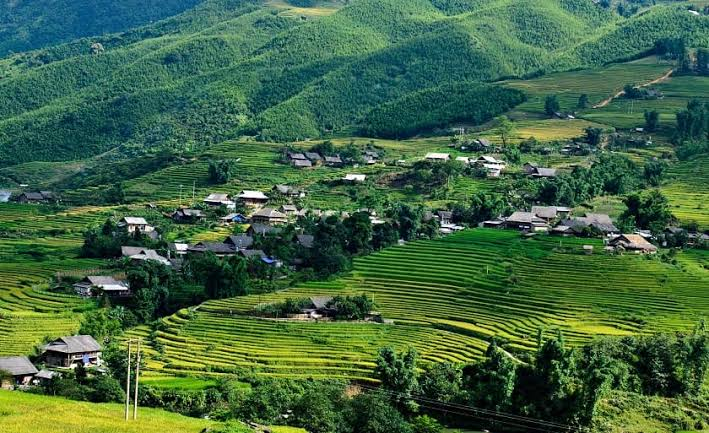 Khung cảnh bản làng mùa hè đẹp như tranh vẽ