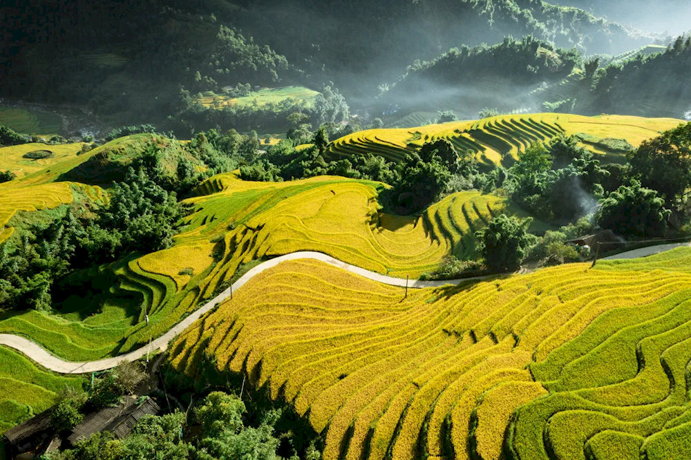 Khung cảnh ruộng bậc thang tại bản Tả Van