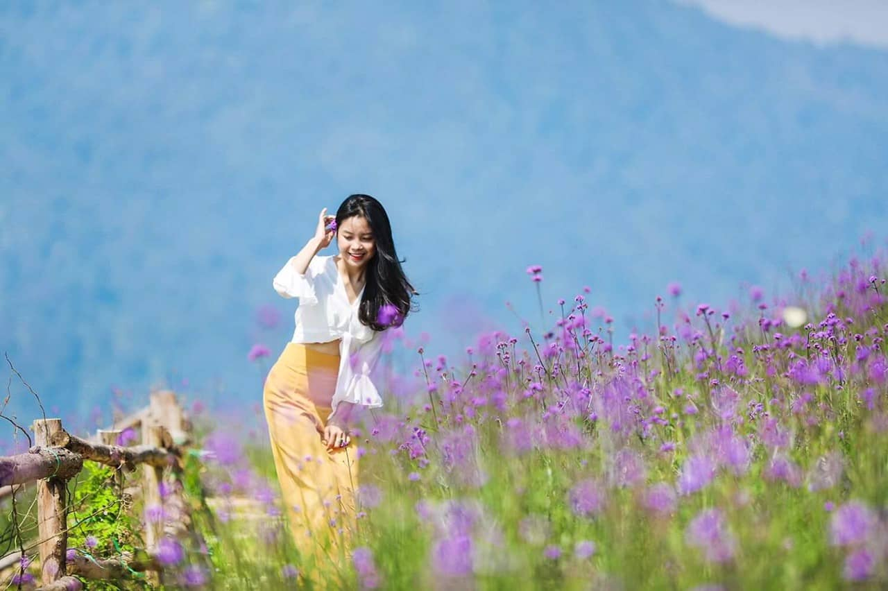 Sa Pa có nhiều góc sống ảo đẹp được nhiều du khách săn đón