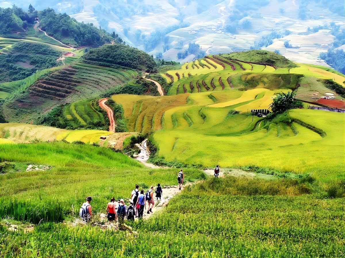 Góc check-in ruộng bậc thang gần Sa Pa tạo cảm giác yên bình giữa mây núi.