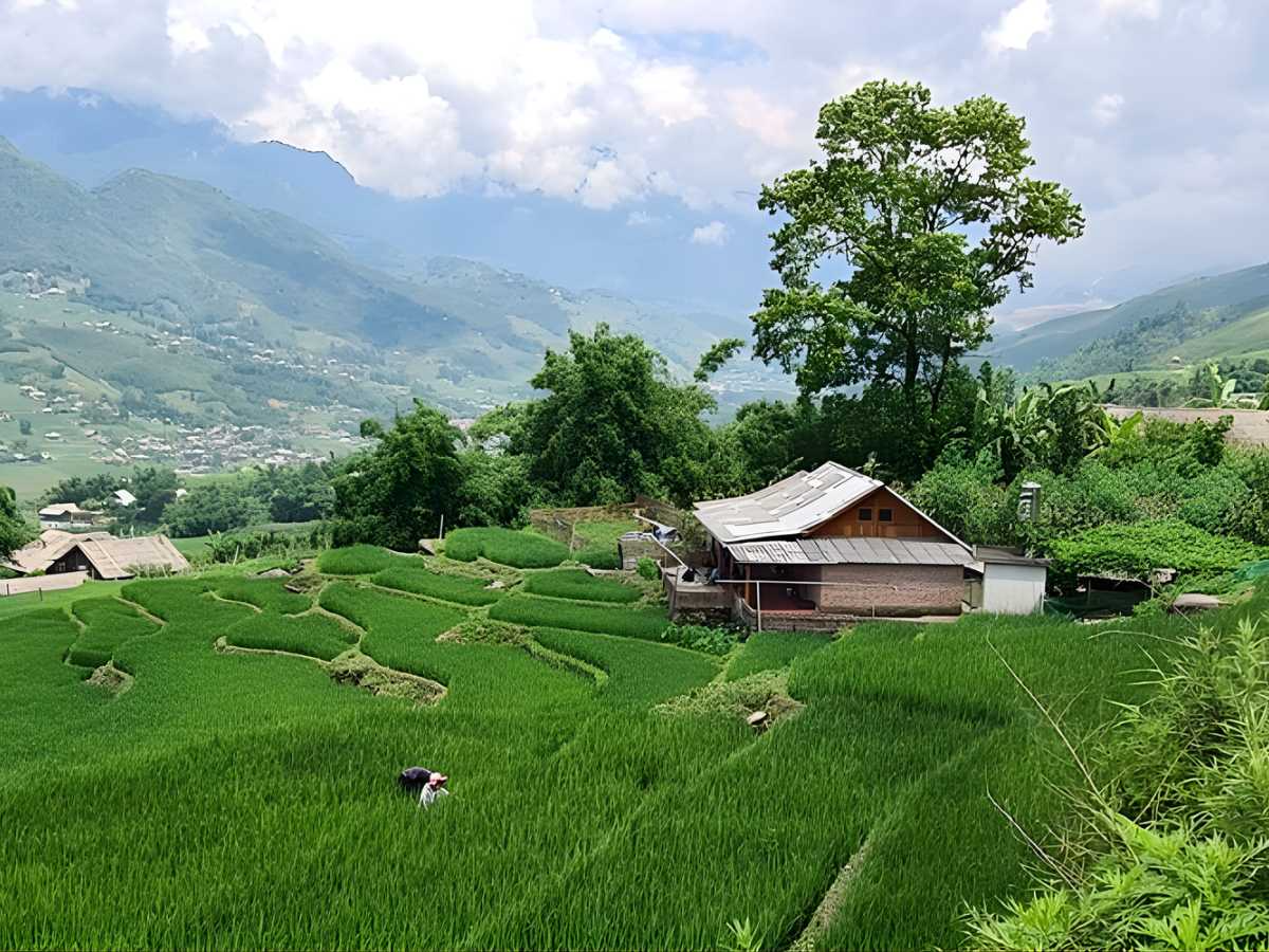 Mama Chao’s Homestay ở Sa Pa nép giữa ruộng bậc thang xanh mướt.